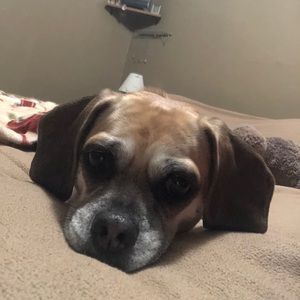 Meet your Posher, Cindy